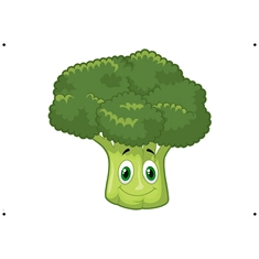 Broccoli Classroom Vegetable Transparent Sticker